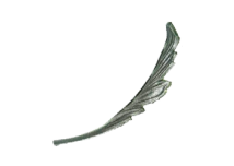 SK 22.13.1