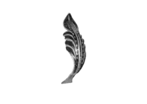 19-1134